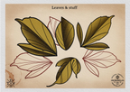 Neo-traditional flowers vol.2 - 100+ custom designs, digital download Procreate/Photoshop Stencils (Digital Download)