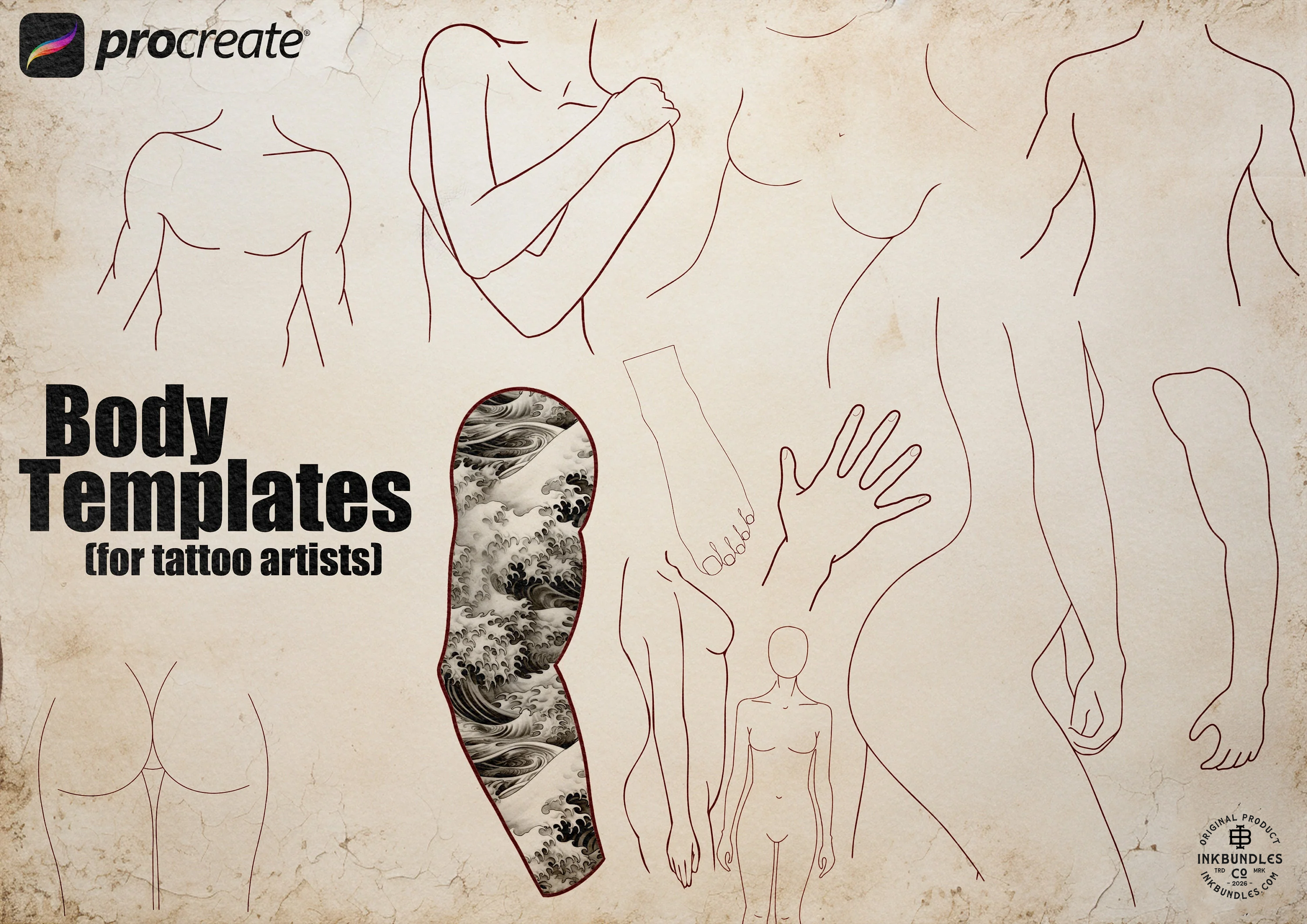 Body templates / tattoo placement for Procreate (Digital Download)