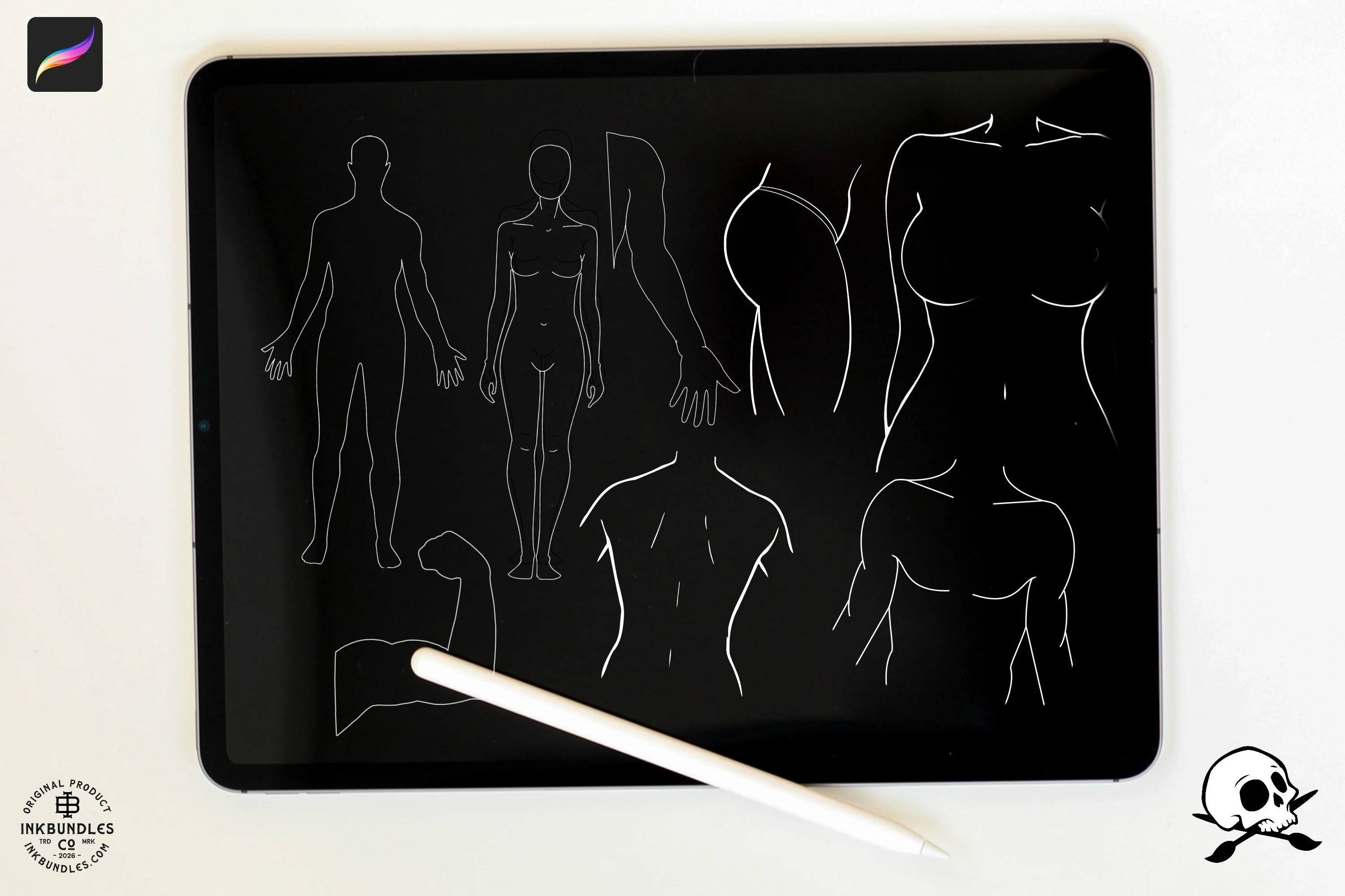 Body templates / tattoo placement for Procreate (Digital Download)