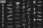 Procreate, The Chicano Lettering kit XL, 600+, Original art (Digital Download)
