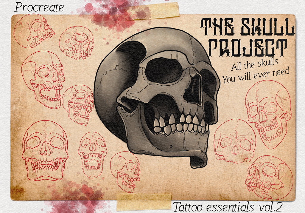 Procreate Skull Outlines: Tattoo Art Reference (PDF)