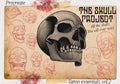 Procreate Skull Outlines: Tattoo Art Reference (PDF)