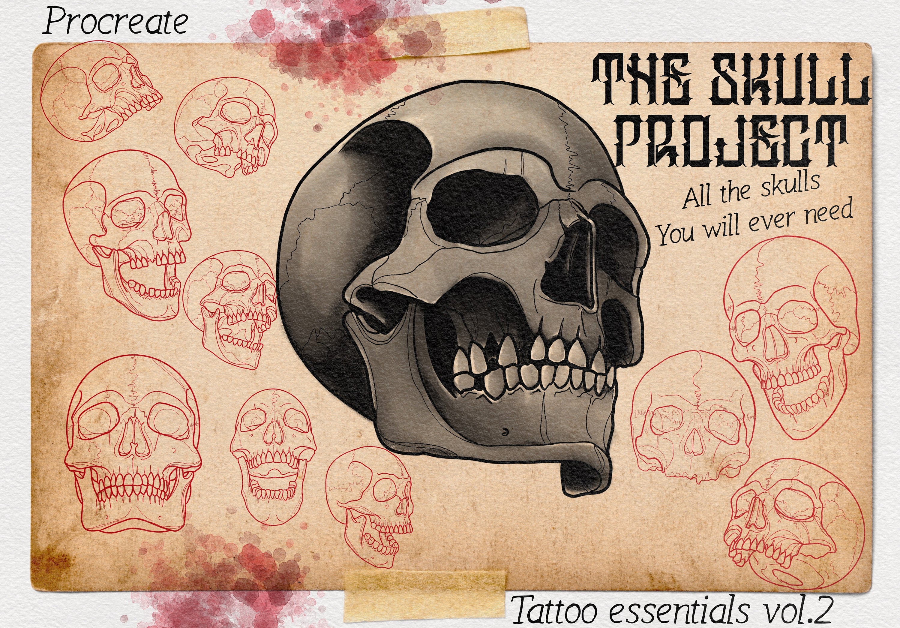Procreate Skull Outlines: Tattoo Art Reference (PDF)