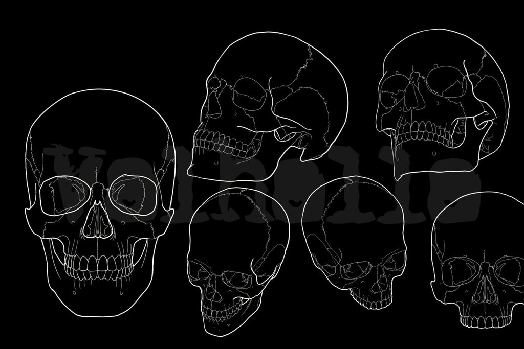Procreate Skull Outlines: Tattoo Art Reference (PDF)