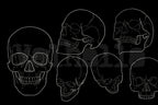 Procreate Skull Outlines: Tattoo Art Reference (PDF)