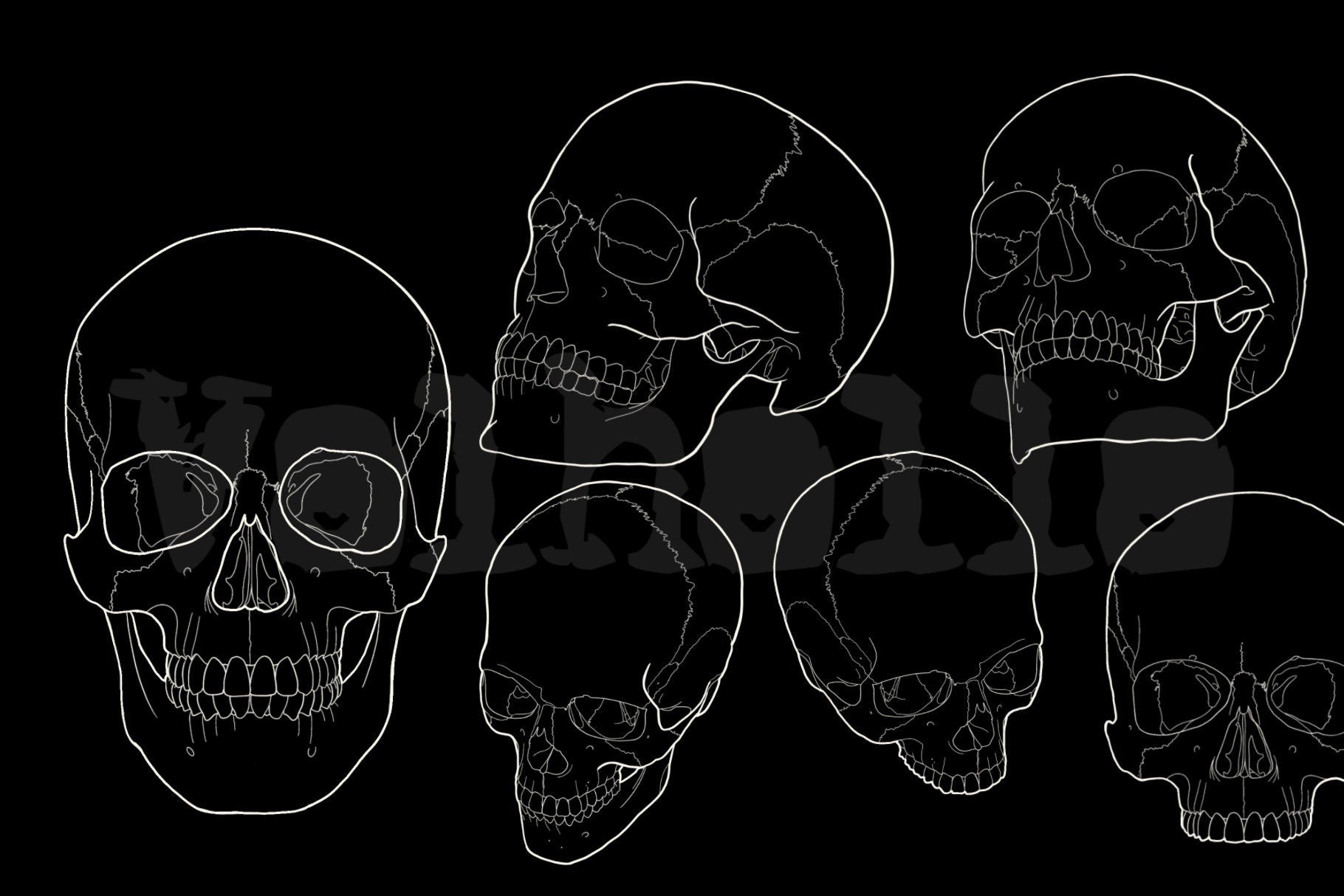 Procreate Skull Outlines: Tattoo Art Reference (PDF)