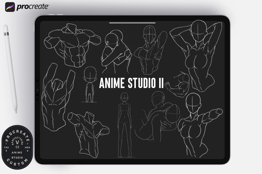 The Anime Studio bundle vol.2/ 2~300 guide anatomy stamp brushes, XXL creative set!