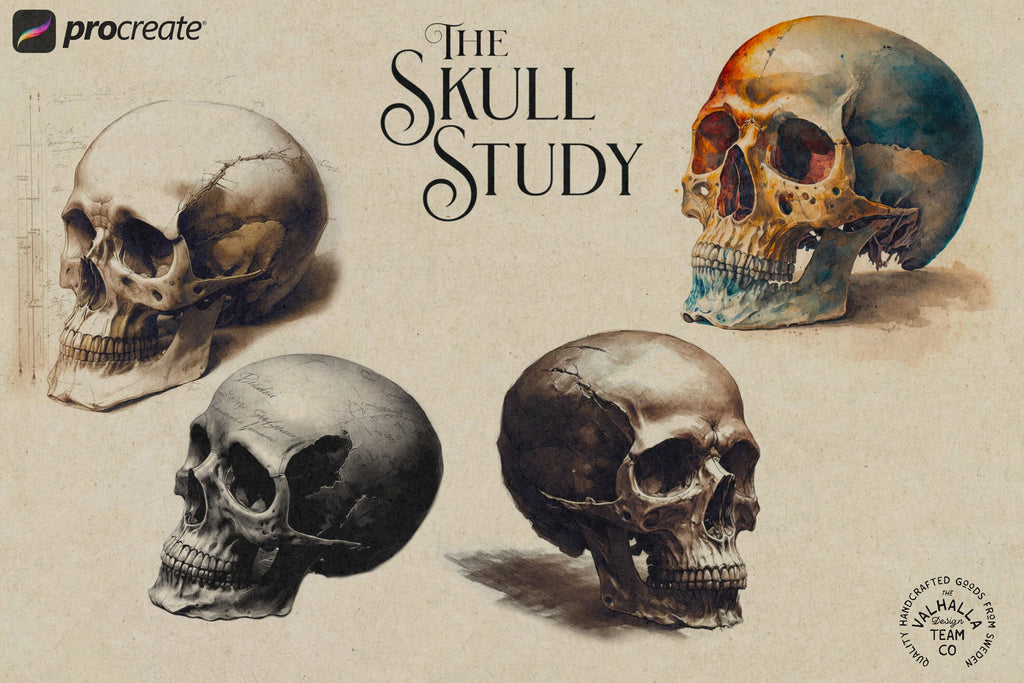 The skull project, 200+ custom made designs for Procreate