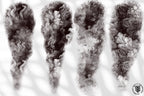 Smoke textured brushes ~ Texturemania ~ custom brushes for Procreate