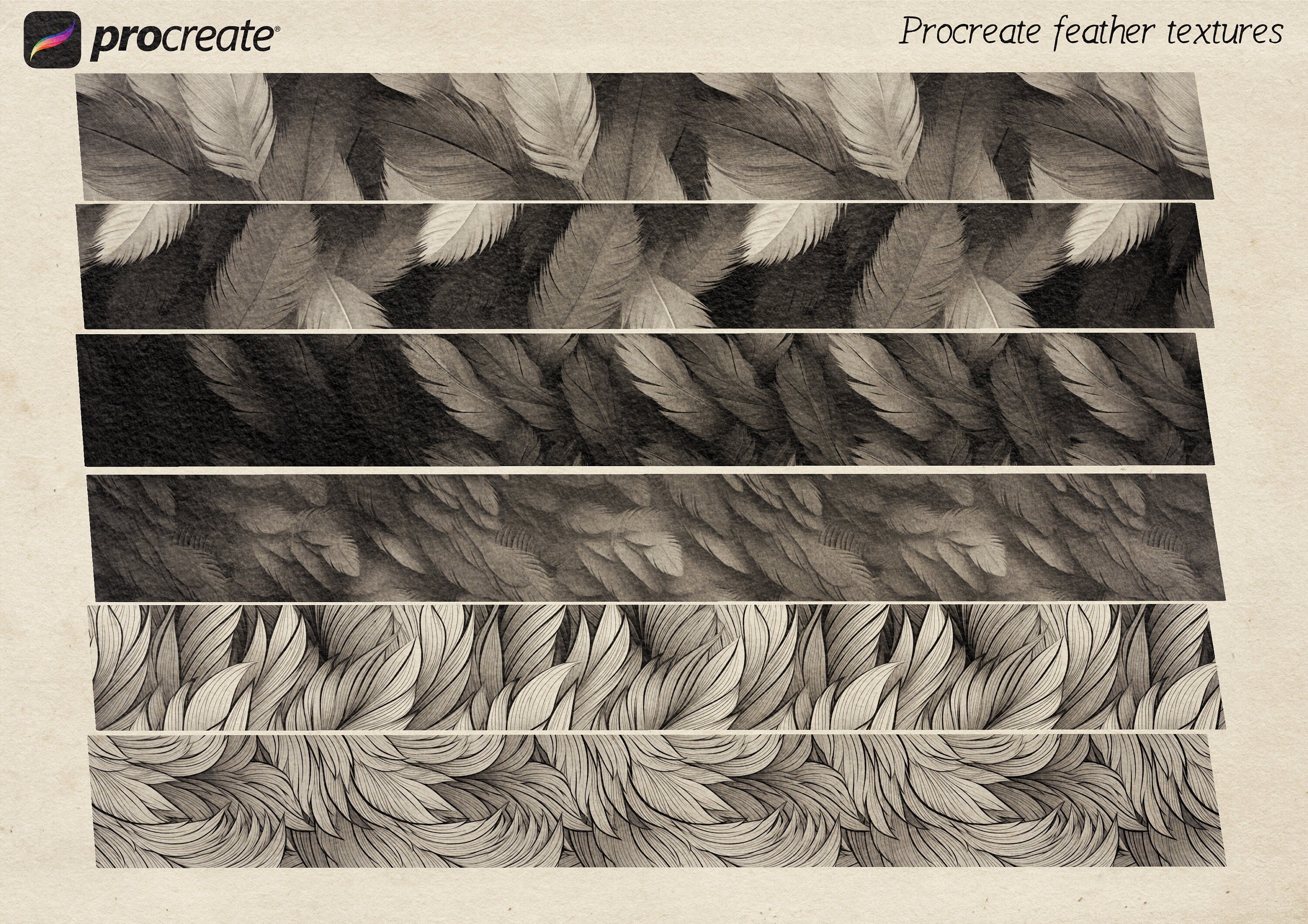 Wings & feathers design bundle, 100+ unique designs + textured brushes for Procreate