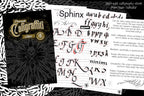 CaliGraffiti Lettering Kit for Procreate: 300+ Custom Letters, 40 Brushes (PDF Guide Included)