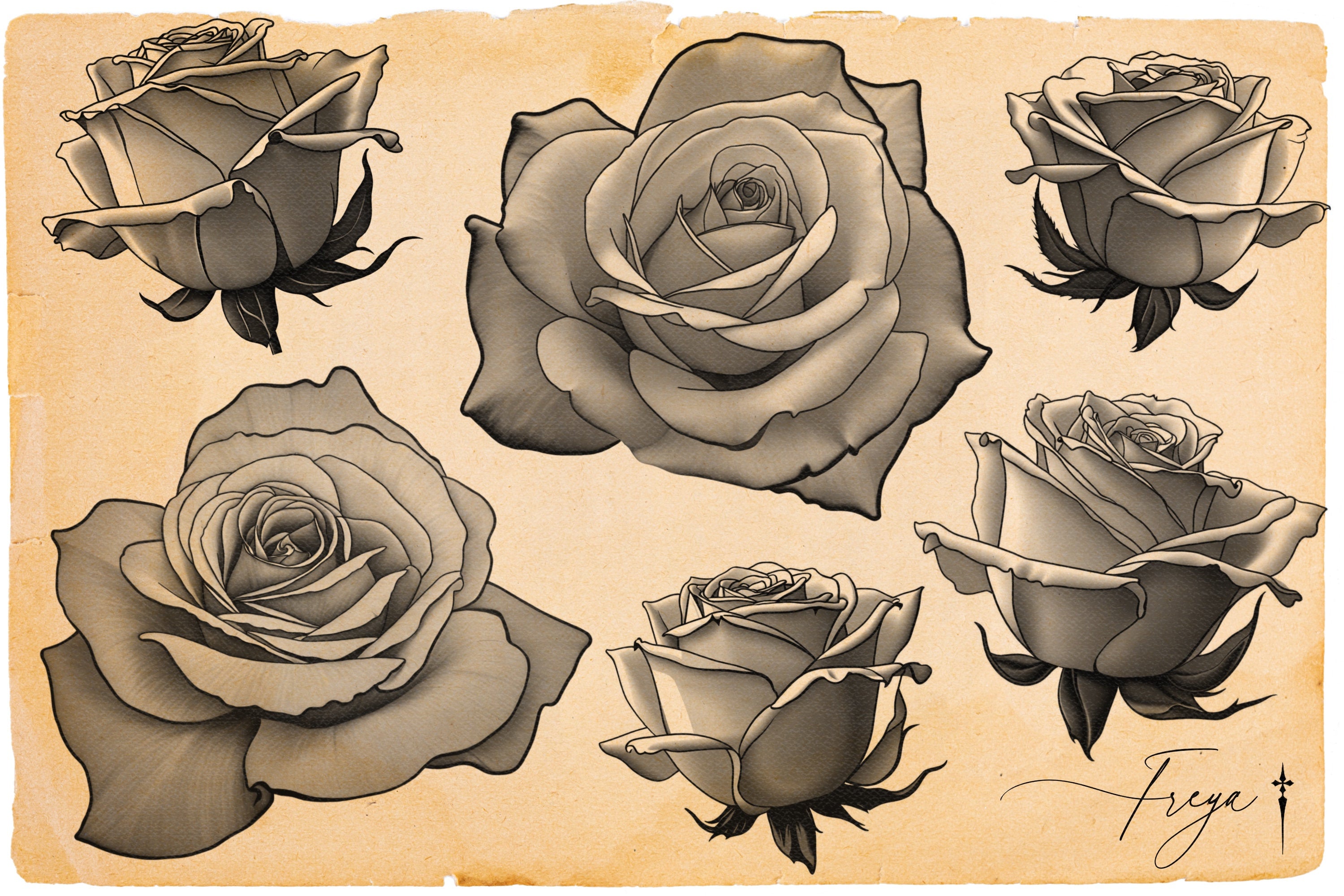 Rose Tattoo Design Kit: Procreate Stamps, Stencils (150+ PNG Files)