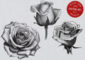 Roses Vol.2, Tattoo builder, Design team Valhalla sweden, 40 unique designs