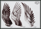 Wings & feathers design bundle, 100+ unique designs + textured brushes for Procreate