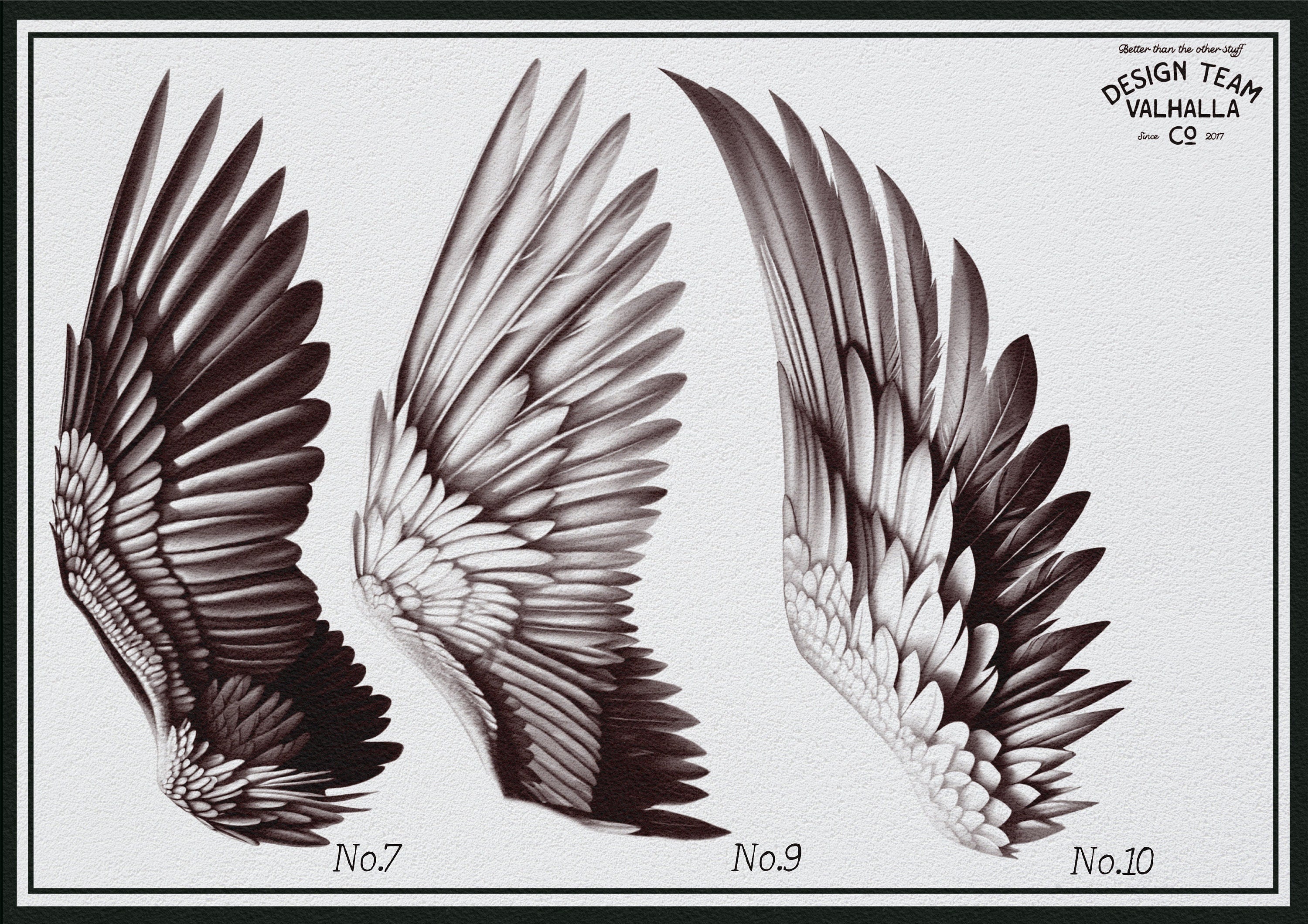 Wings & feathers design bundle, 100+ unique designs + textured brushes for Procreate