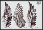Wings & feathers design bundle, 100+ unique designs + textured brushes for Procreate
