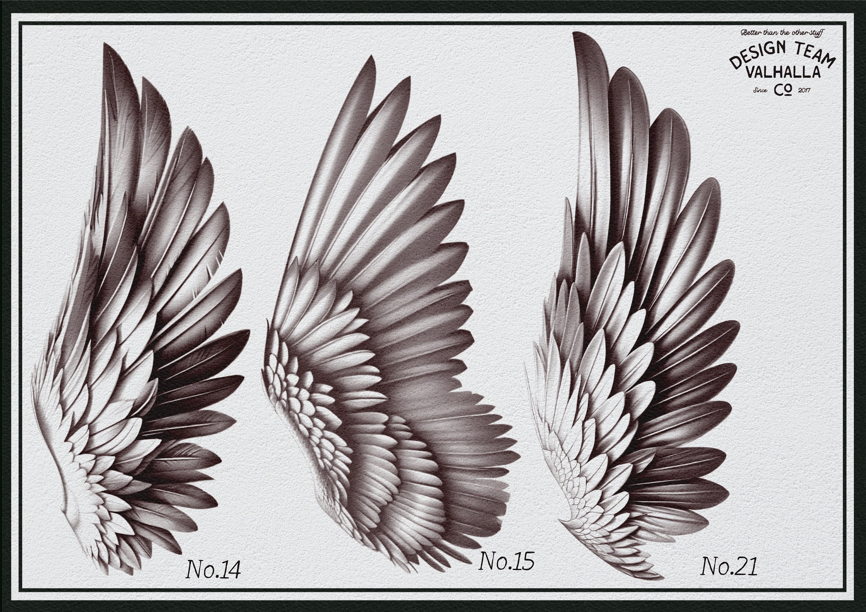 Wings & feathers design bundle, 100+ unique designs + textured brushes for Procreate