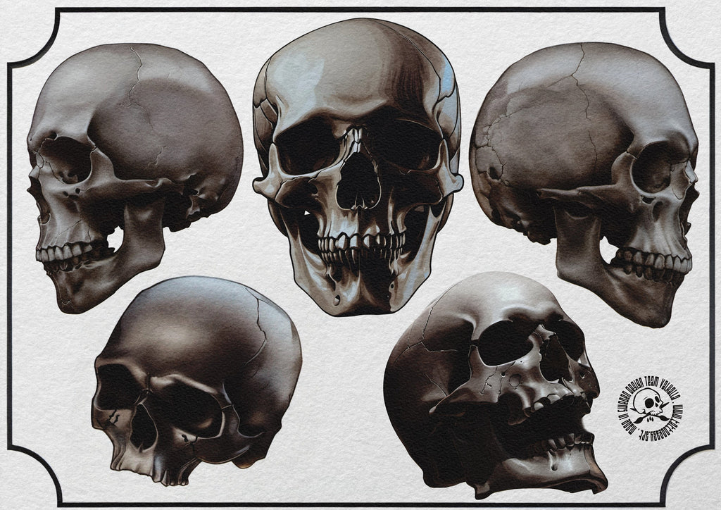 The skull project, 200+ custom made designs for Procreate