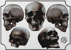 The skull project, 200+ custom made designs for Procreate