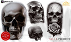 The skull project, 200+ custom made designs for Procreate