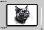 The Pencil Hatch Artist, custom brushes for Procreate