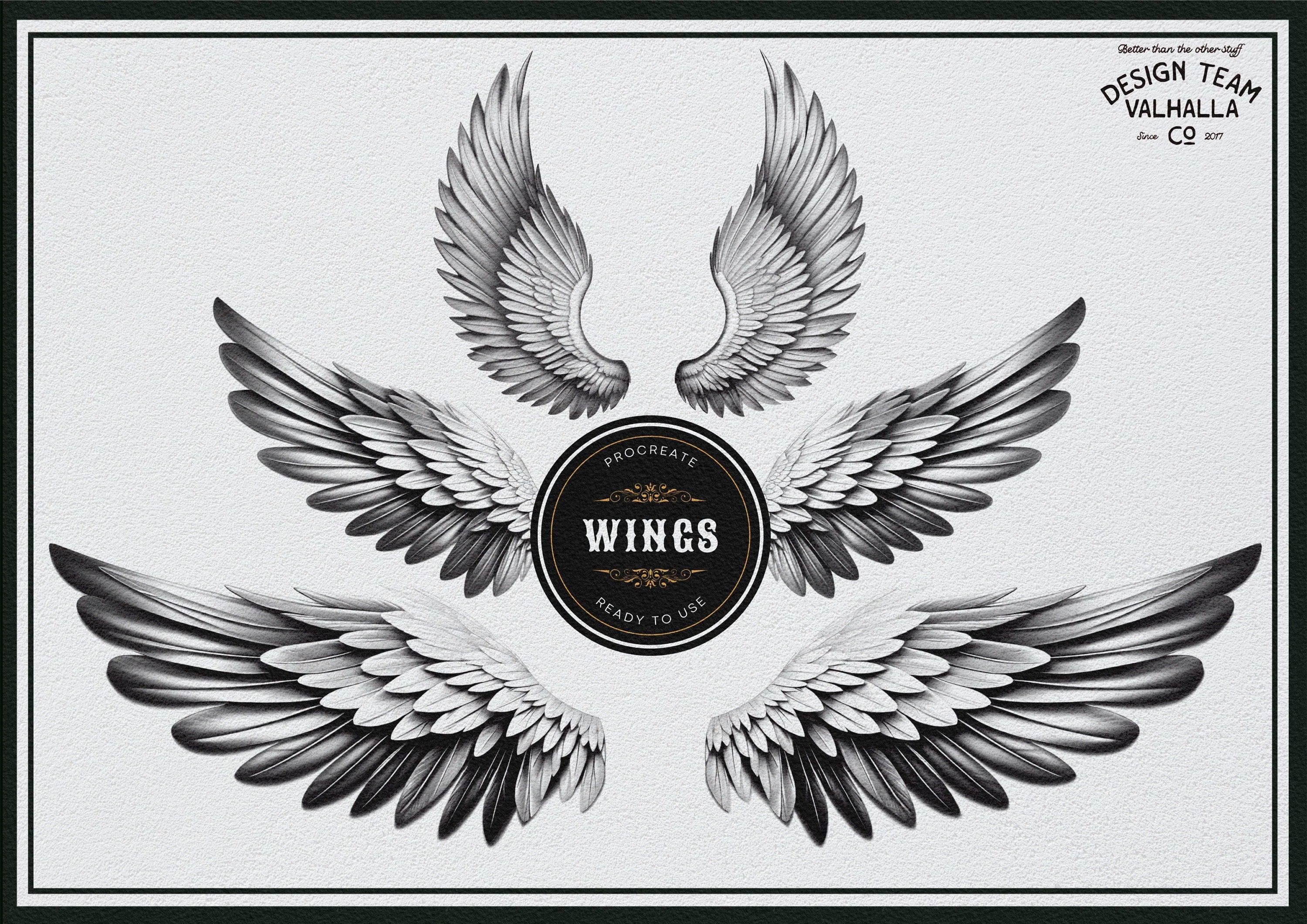 Wings & feathers design bundle, 100+ unique designs + textured brushes for Procreate