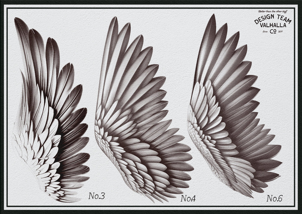Wings & feathers design bundle, 100+ unique designs + textured brushes for Procreate