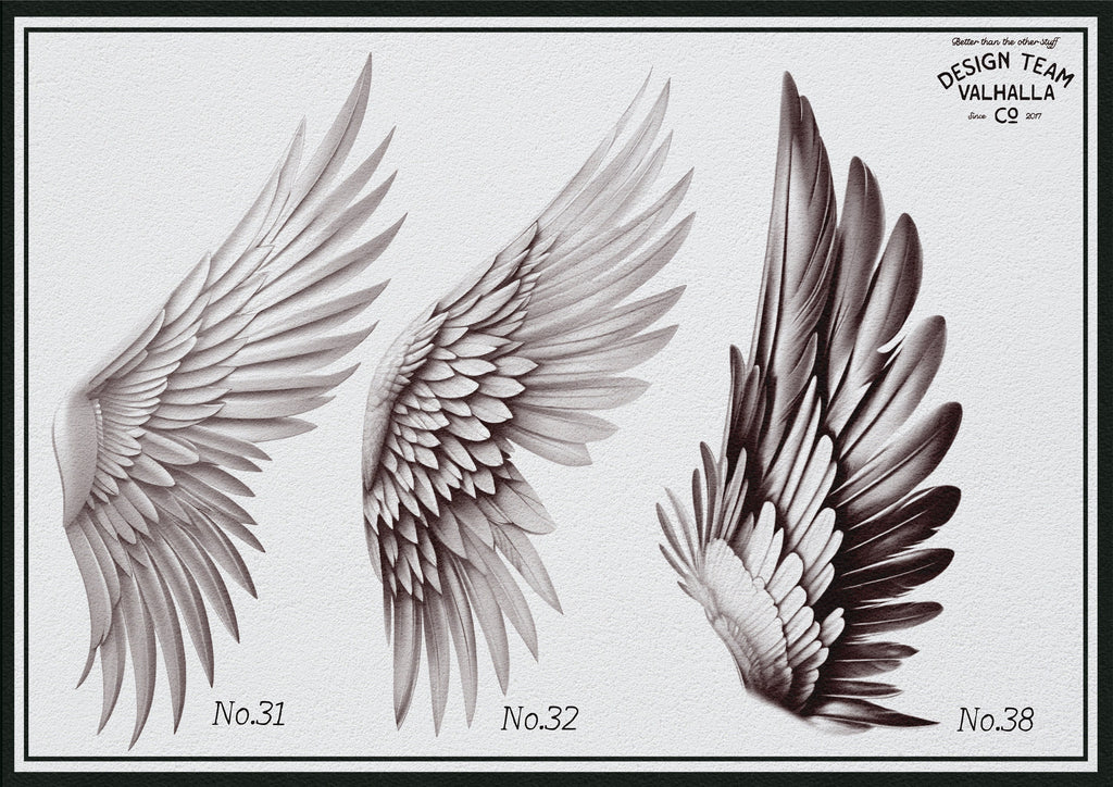 Wings & feathers design bundle, 100+ unique designs + textured brushes for Procreate