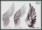Wings & feathers design bundle, 100+ unique designs + textured brushes for Procreate