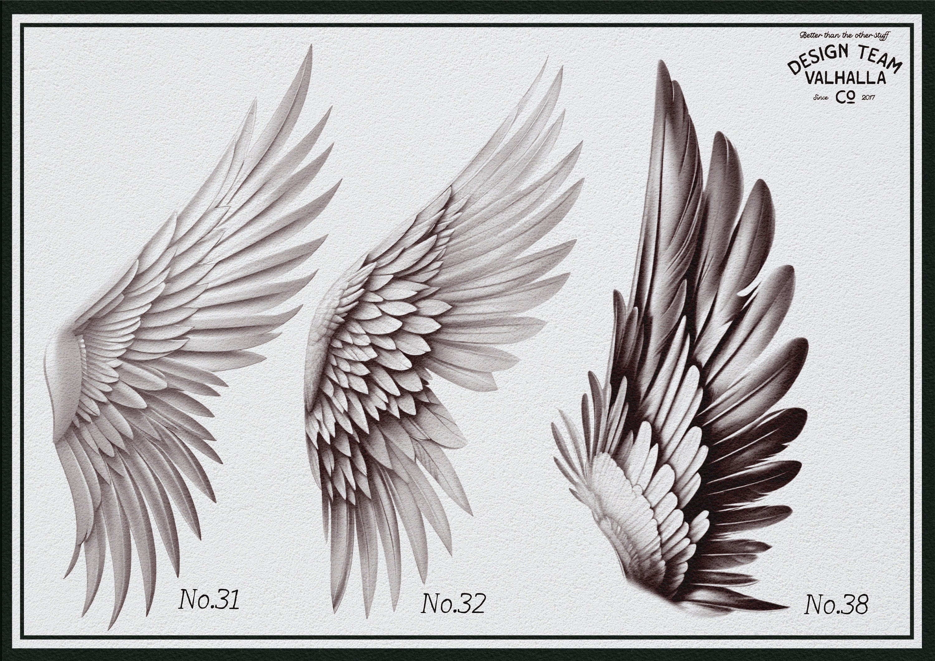 Wings & feathers design bundle, 100+ unique designs + textured brushes for Procreate