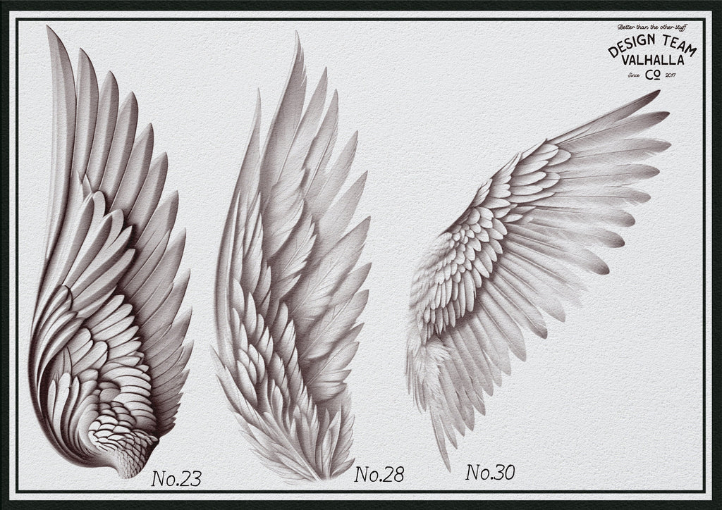 Wings & feathers design bundle, 100+ unique designs + textured brushes for Procreate