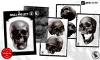 The skull project, 200+ custom made designs for Procreate