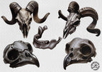 The skull project, 200+ custom made designs for Procreate