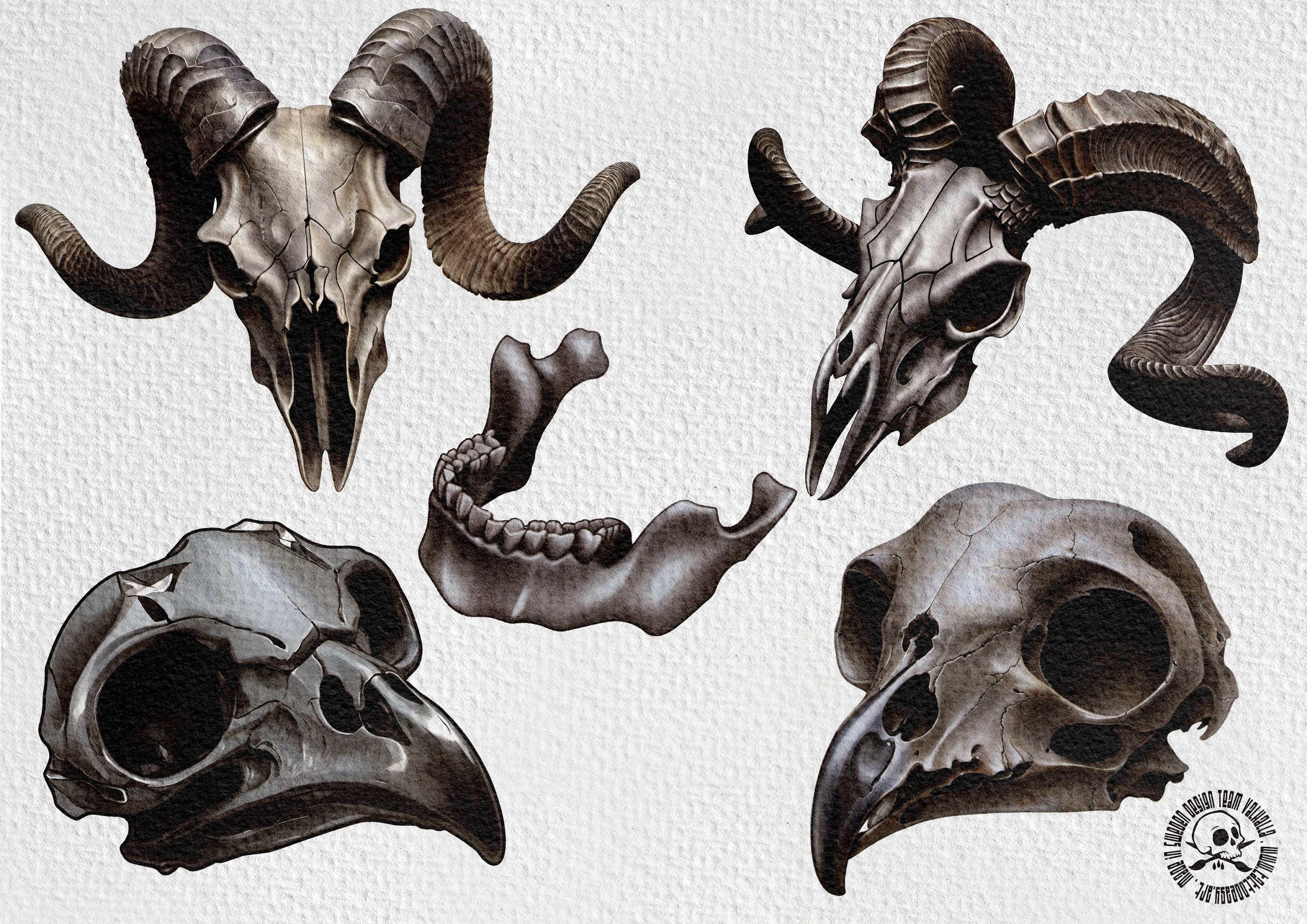 The skull project, 200+ custom made designs for Procreate
