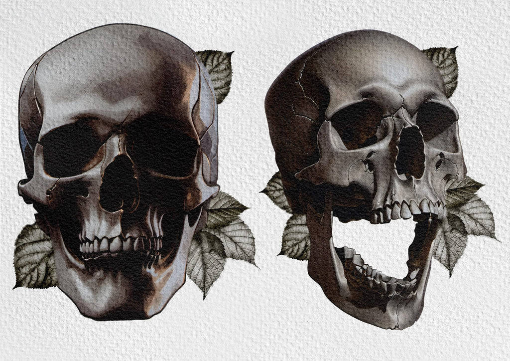The skull project, 200+ custom made designs for Procreate