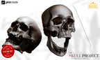 The skull project, 200+ custom made designs for Procreate