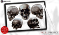 The skull project, 200+ custom made designs for Procreate