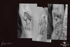 Neo classical, custom fine art tattoo references, pdf & 100 procreate stamp brushes