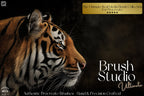 The brush Studio ultimate, custom made quality brushes for Procreate XL