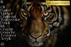 The brush Studio ultimate, custom made quality brushes for Procreate XL