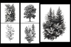 Procreate, landscape design kit, over 200 custom made references for Procreate