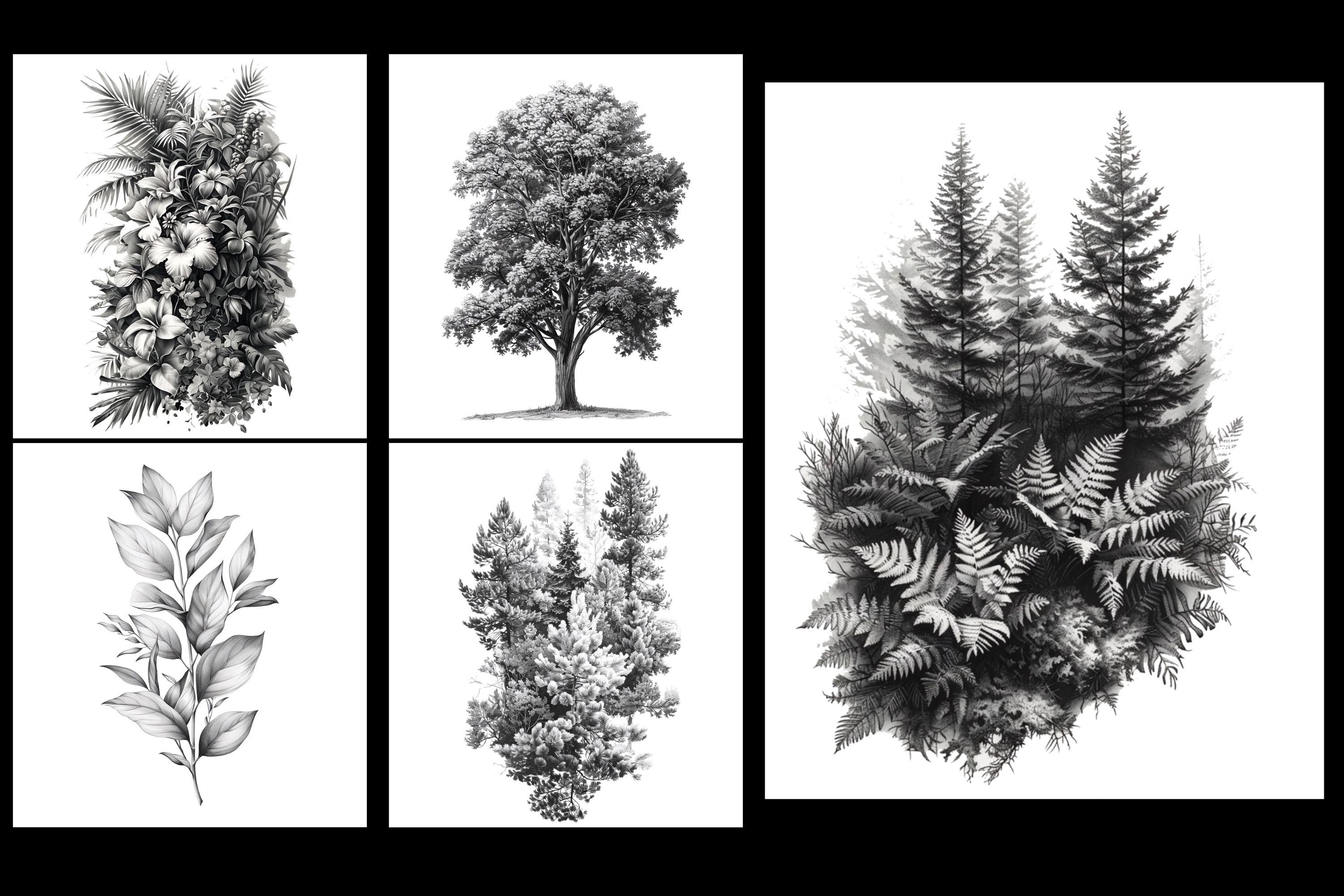 Procreate, landscape design kit, over 200 custom made references for Procreate