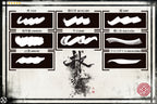 Japanese Calligraphy, custom made brushes for Procreate