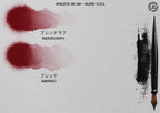 Japanese Calligraphy, custom made brushes for Procreate