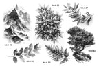 Procreate, landscape design kit, over 200 custom made references for Procreate