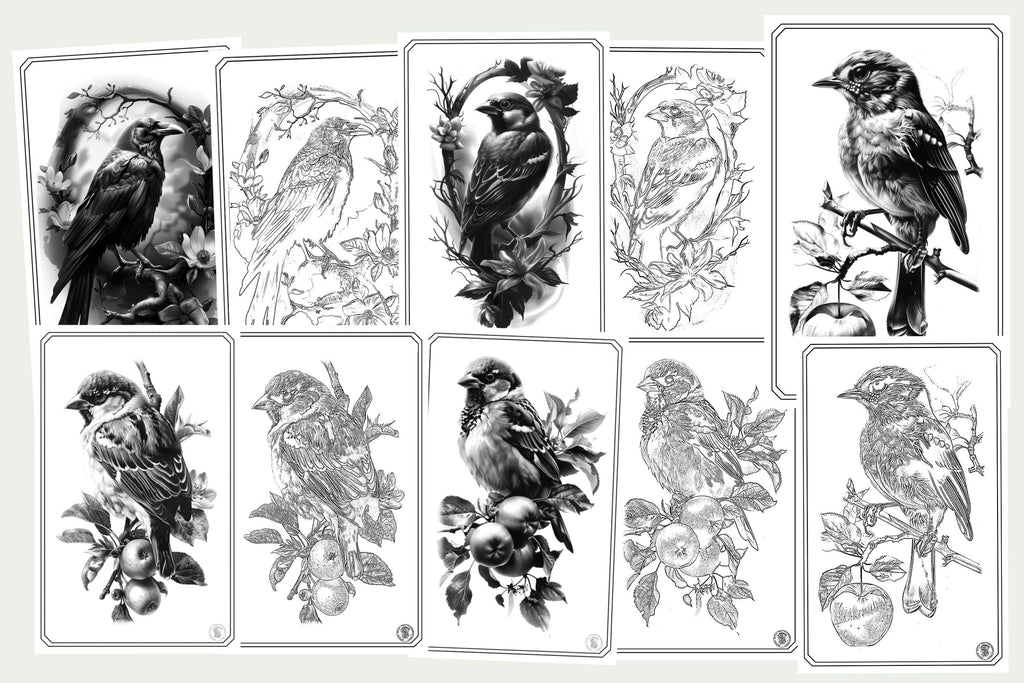 Birds & Branches - references for artists, Procreate and Pdf