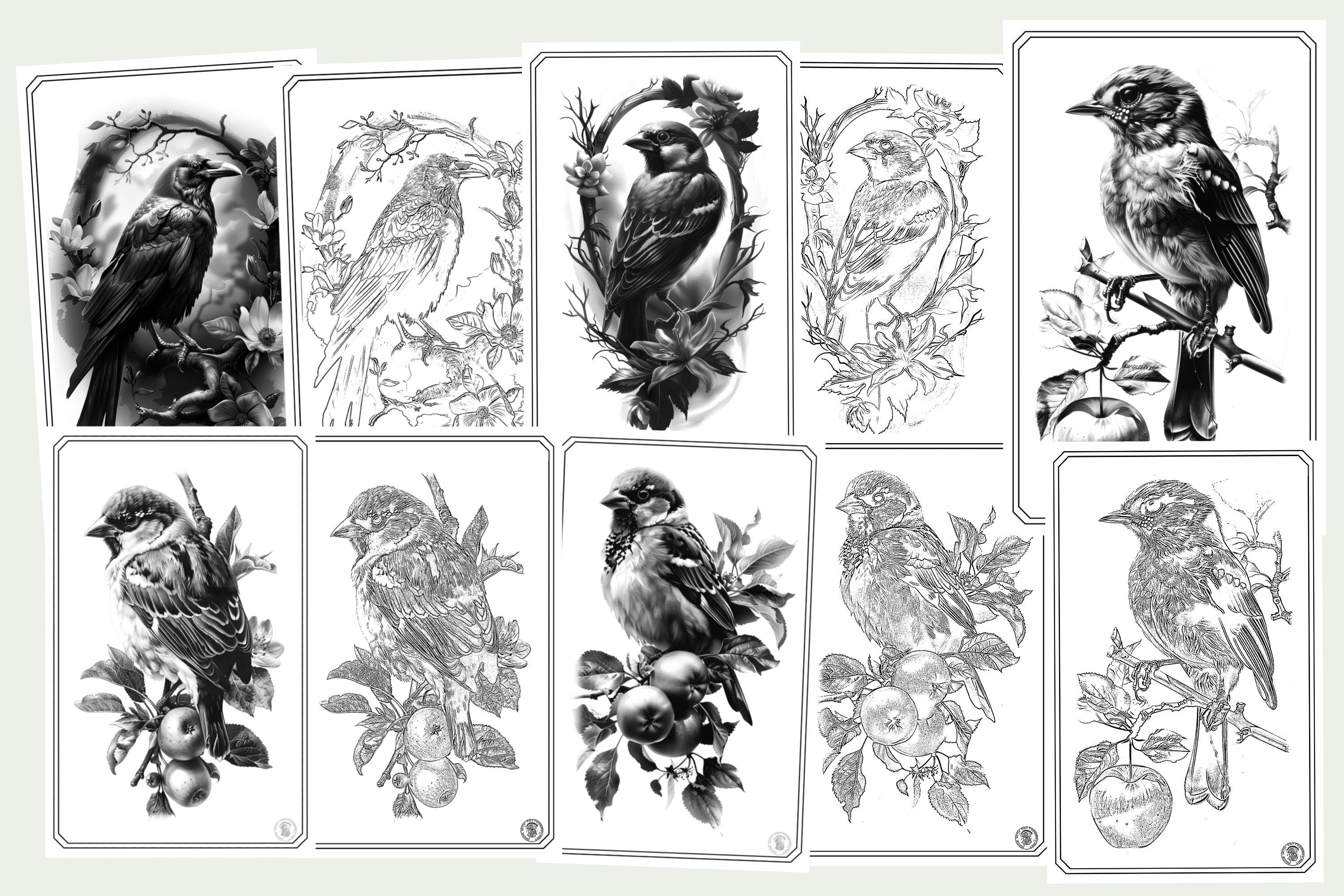Birds & Branches - references for artists, Procreate and Pdf