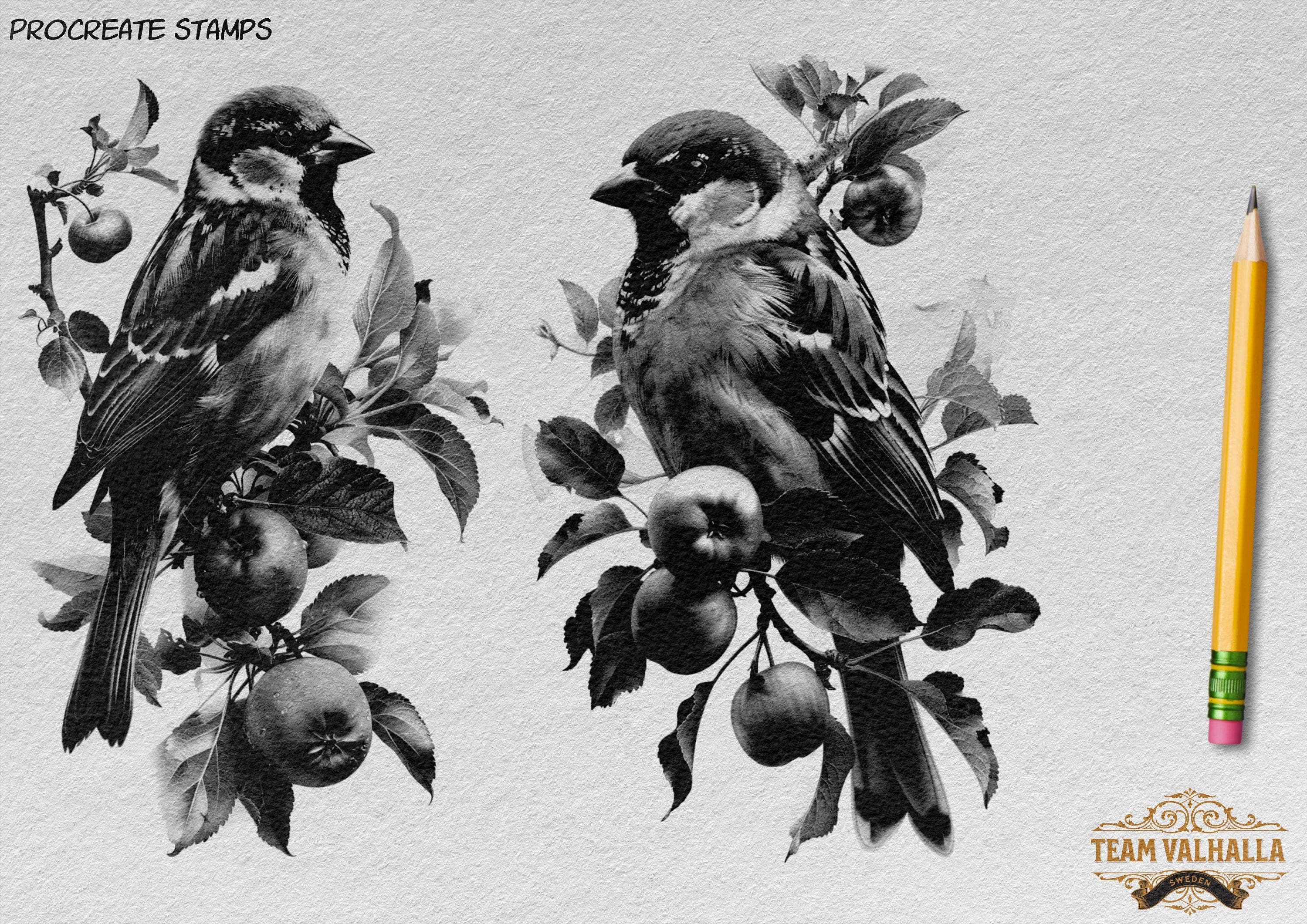 Birds & Branches - references for artists, Procreate and Pdf
