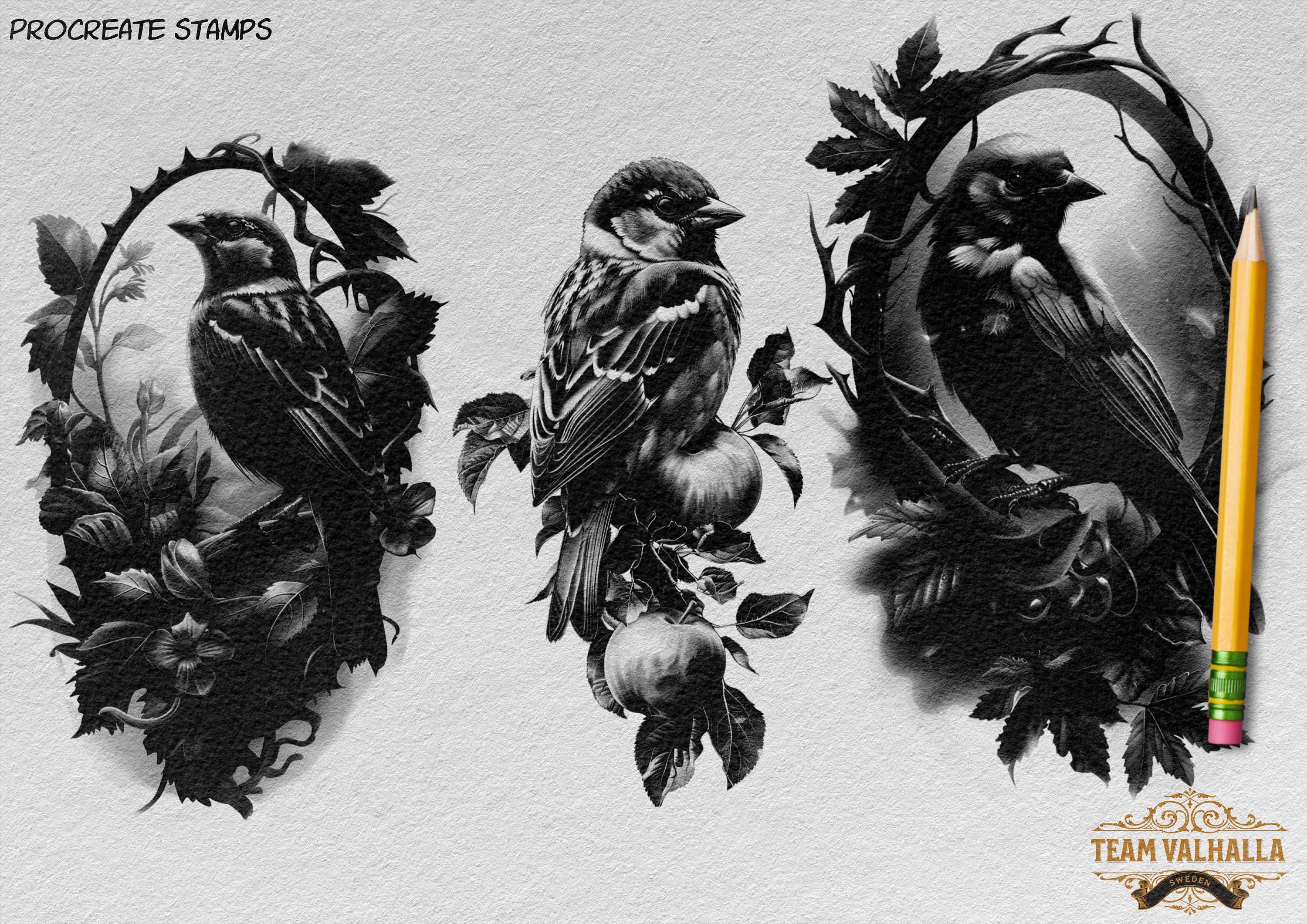 Birds & Branches - references for artists, Procreate and Pdf
