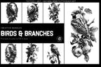 Birds & Branches - references for artists, Procreate and Pdf